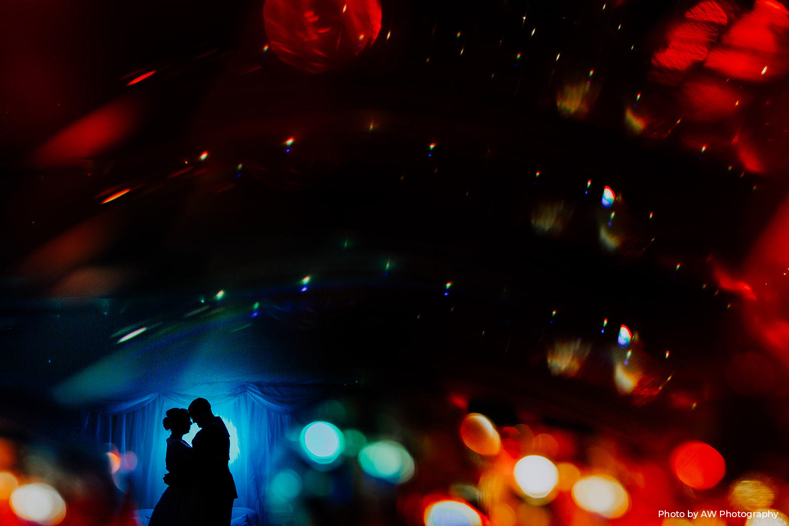 Danielle and Dan in silhouette with Christmas lights. Photo by AW Photography 